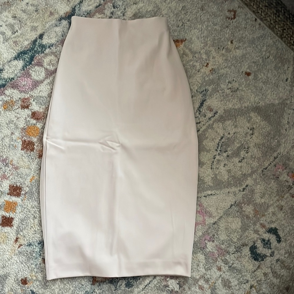 Express Pencil Skirt